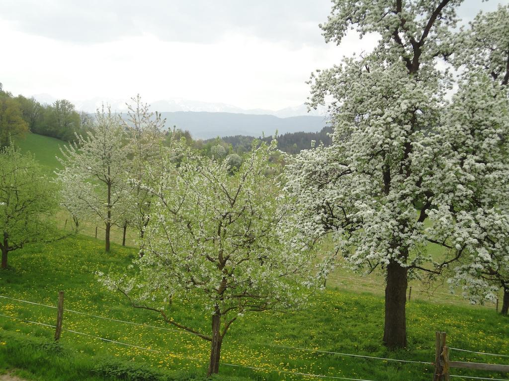 Kollehof Daire Krumpendorf Dış mekan fotoğraf